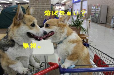 遊ばない?