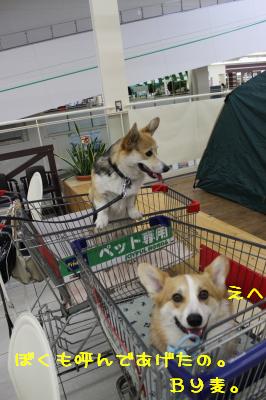 頼んでません。