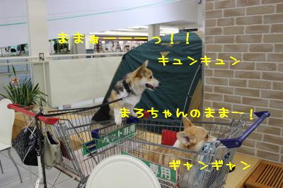 ママー!!