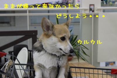 どうしよう・・・