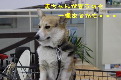 一理あるかも・・・