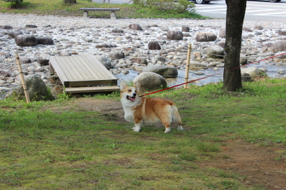 休憩の麦さん