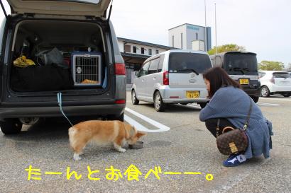 あさごはん