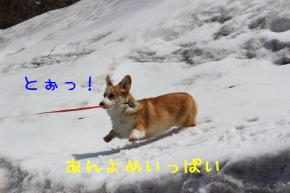短いあんよ