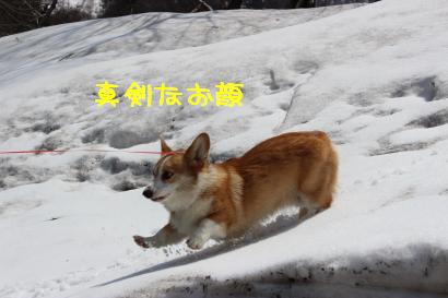 お顔真剣