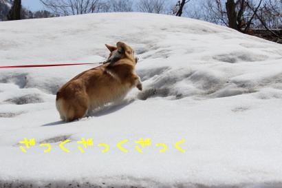 駆け上る