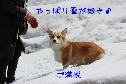堪能いたしました。