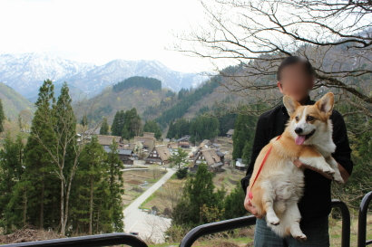 ぱぱと麦さん