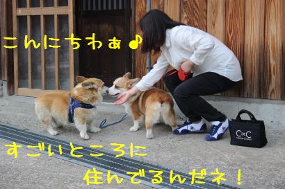 ご挨拶