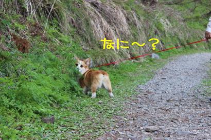 なに???