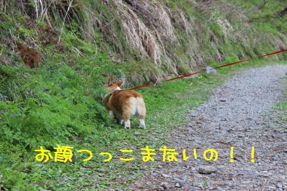つっこんじゃいけません!