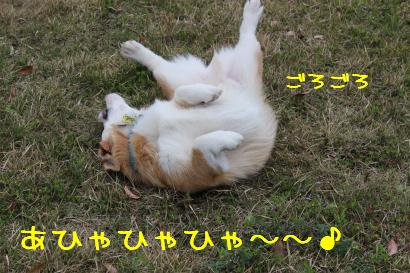 どこでもスリスリ
