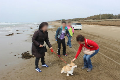 なでなでしてもらう