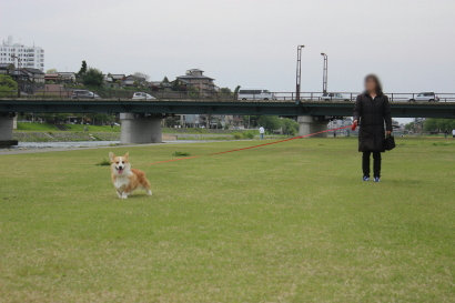 犀川