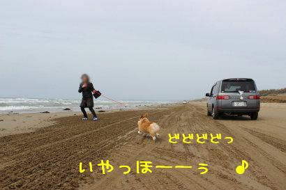麦大喜び