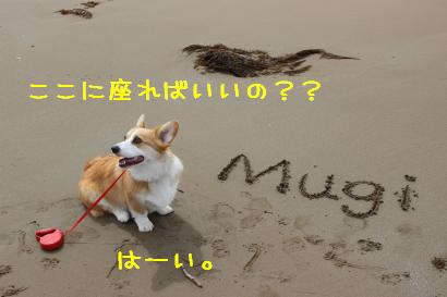 ここに座るのね?