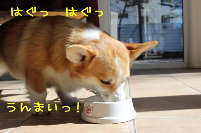 うましっ!
