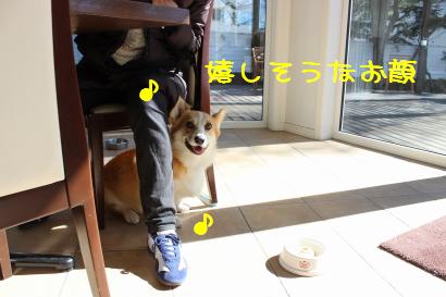 今日だけだよ~