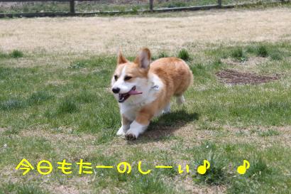 今日も楽しい♪