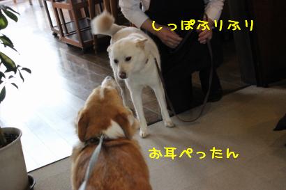 モナコちゃん