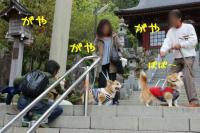 撮影準備その2