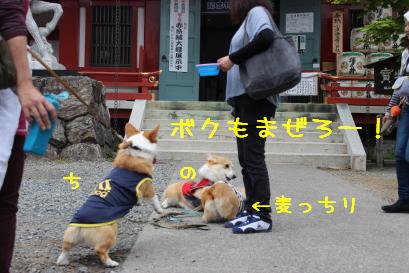 ノア兄乱入