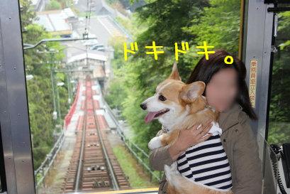 抱っこ