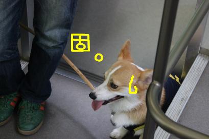 固まるちくわ