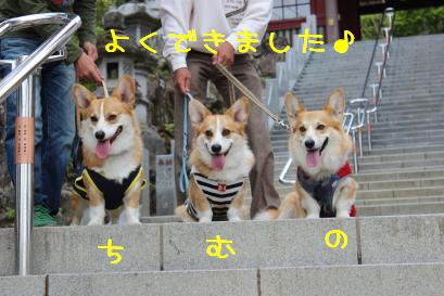 完成!