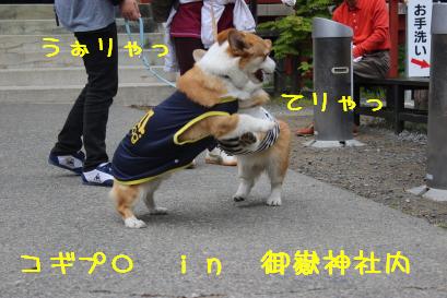 どこでもコギプロ