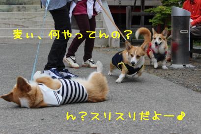 気になるちくわ