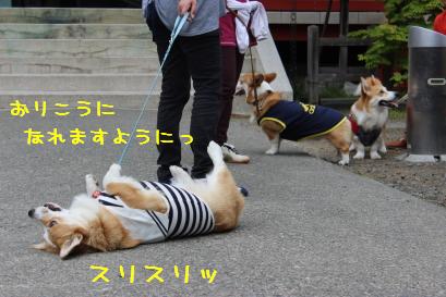 スリスリ中