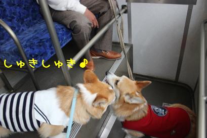 しゅきしゅき