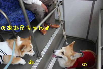見つめあう二人