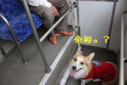 余裕のノア兄ちゃん
