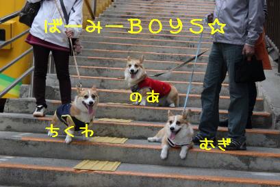 ばーみーBOYS