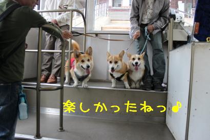 楽しかったね♪