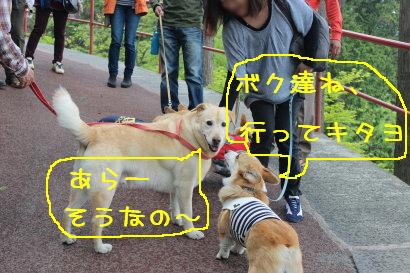 ご挨拶