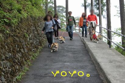 コギ様ご一行