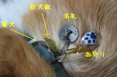 ジャラジャラ