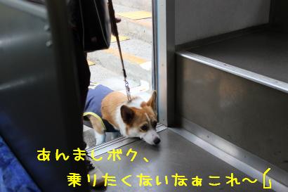 ボクやだな・・・