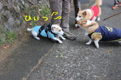 JRTちゃん逃げ腰