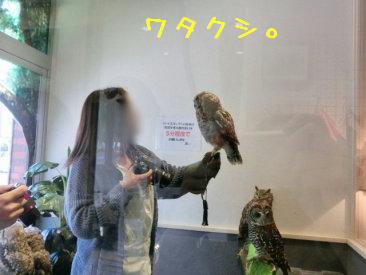 ワタクシ