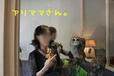 アリママさん