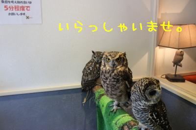 バードスタッフさん達