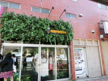 鳥のいるカフェ