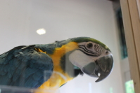 きれいな色