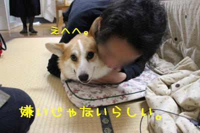 嫌いじゃないかも