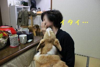 痛がるばーたん