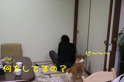 何してるの?